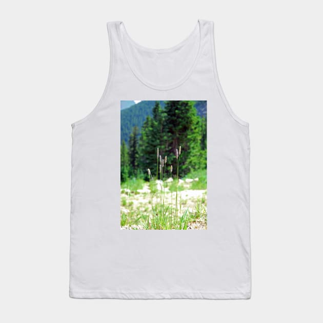 Berthoud Pass Tall Grass Tank Top by bobmeyers